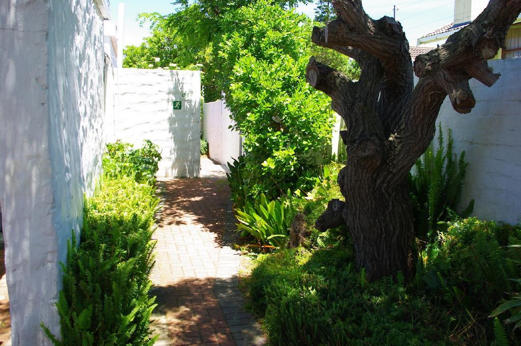 Aqua Marine Guest House Port Elizabeth Kültér fotó