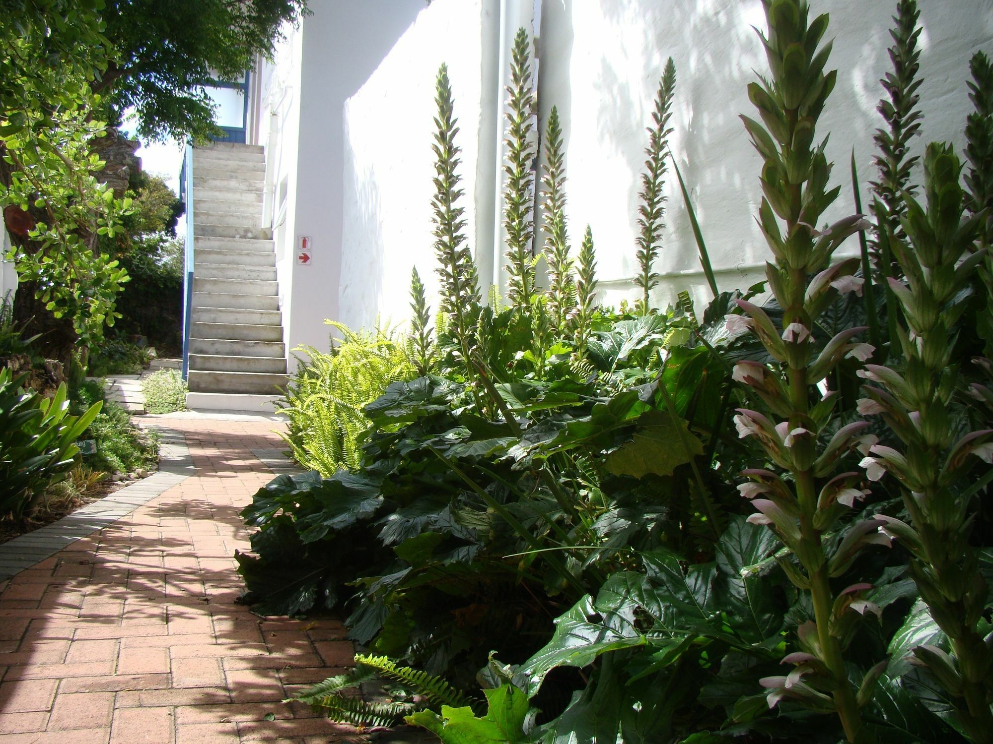 Aqua Marine Guest House Port Elizabeth Kültér fotó